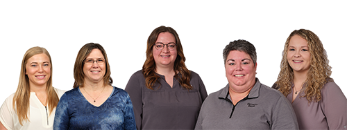eservices team
